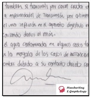 Graphology Signature