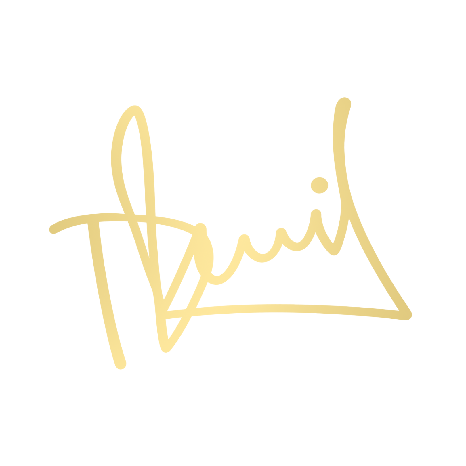 Dhruvil Lakhani signature before redesign