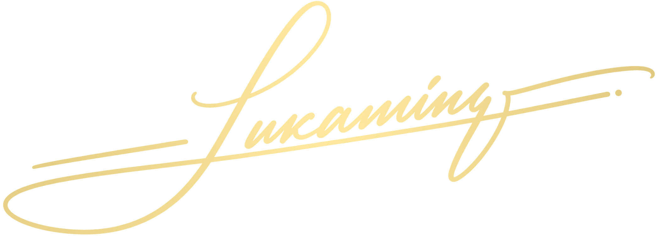Professional signature style example